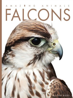 cover image of Falcons